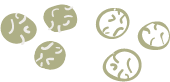 Asset 3
