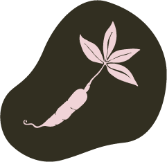 Asset 4
