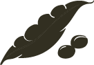 Asset 7