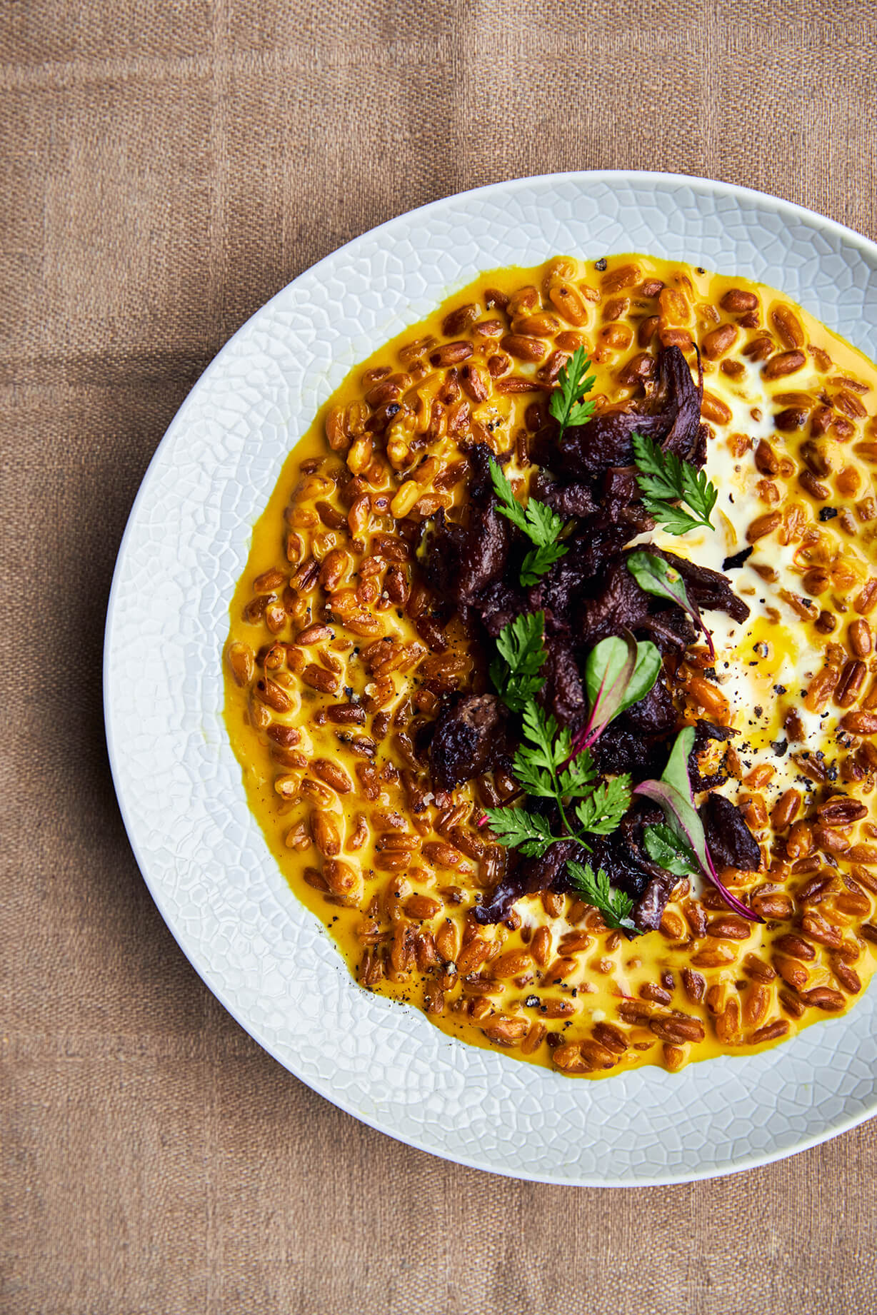 Risotto Small Portrait (1)
